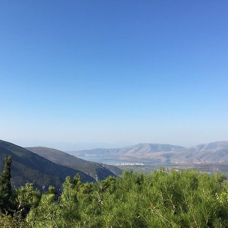 Delphi Palace Ngoại thất bức ảnh