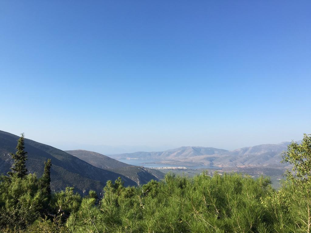 Delphi Palace Ngoại thất bức ảnh